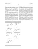 OXYGEN-CONTROLLABLE AND HYPOXIA-INDUCIBLE HYDROGELS diagram and image