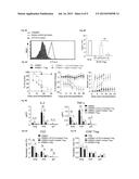 HUMAN CD8+ REGULATORY T CELLS INHIBIT GVHD AND PRESERVE GENERAL IMMUNITY     IN HUMANIZED MICE diagram and image