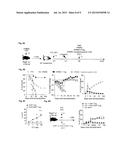 HUMAN CD8+ REGULATORY T CELLS INHIBIT GVHD AND PRESERVE GENERAL IMMUNITY     IN HUMANIZED MICE diagram and image