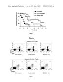 COMBINATION IMMUNO THERAPY AND RADIOTHERAPY FOR THE TREATMENT OF     HER-2-POSITIVE CANCERS diagram and image