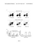 COMBINATION IMMUNO THERAPY AND RADIOTHERAPY FOR THE TREATMENT OF     HER-2-POSITIVE CANCERS diagram and image