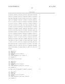 COMBINATION IMMUNO THERAPY AND RADIOTHERAPY FOR THE TREATMENT OF     HER-2-POSITIVE CANCERS diagram and image