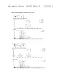 METHODS AND MEANS FOR THE PRODUCTION OF IG-LIKE MOLECULES diagram and image