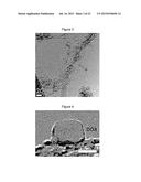 CARBON NANOTUBE-BASED ANTI-CANCER AGENT CAPABLE OF SUPPRESSING DRUG     RESISTANCE diagram and image