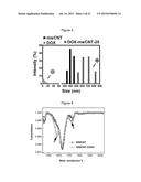 CARBON NANOTUBE-BASED ANTI-CANCER AGENT CAPABLE OF SUPPRESSING DRUG     RESISTANCE diagram and image