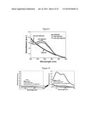 CARBON NANOTUBE-BASED ANTI-CANCER AGENT CAPABLE OF SUPPRESSING DRUG     RESISTANCE diagram and image