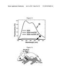 CARBON NANOTUBE-BASED ANTI-CANCER AGENT CAPABLE OF SUPPRESSING DRUG     RESISTANCE diagram and image