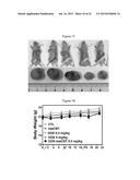 CARBON NANOTUBE-BASED ANTI-CANCER AGENT CAPABLE OF SUPPRESSING DRUG     RESISTANCE diagram and image