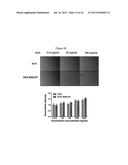 CARBON NANOTUBE-BASED ANTI-CANCER AGENT CAPABLE OF SUPPRESSING DRUG     RESISTANCE diagram and image