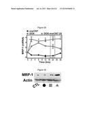 CARBON NANOTUBE-BASED ANTI-CANCER AGENT CAPABLE OF SUPPRESSING DRUG     RESISTANCE diagram and image