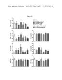 CARBON NANOTUBE-BASED ANTI-CANCER AGENT CAPABLE OF SUPPRESSING DRUG     RESISTANCE diagram and image