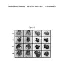 CARBON NANOTUBE-BASED ANTI-CANCER AGENT CAPABLE OF SUPPRESSING DRUG     RESISTANCE diagram and image