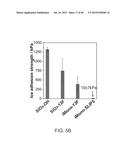 SLIPPERY LIQUID-INFUSED POROUS SURFACES HAVING IMPROVED STABILITY diagram and image