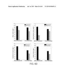 SLIPPERY LIQUID-INFUSED POROUS SURFACES HAVING IMPROVED STABILITY diagram and image