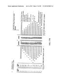 APPARATUS AND METHOD FOR AIMING POINT CALCULATION diagram and image