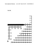 APPARATUS AND METHOD FOR AIMING POINT CALCULATION diagram and image