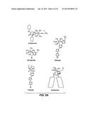 NOVEL CHEMISTRY USED IN BIOSENSORS diagram and image