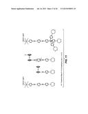 NOVEL CHEMISTRY USED IN BIOSENSORS diagram and image