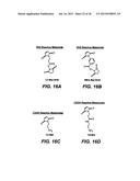 NOVEL CHEMISTRY USED IN BIOSENSORS diagram and image