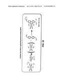 NOVEL CHEMISTRY USED IN BIOSENSORS diagram and image