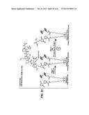 NOVEL CHEMISTRY USED IN BIOSENSORS diagram and image