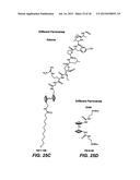 NOVEL CHEMISTRY USED IN BIOSENSORS diagram and image