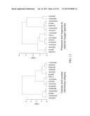 IDENTIFICATION OF FUNCTIONAL CELL STATES diagram and image