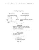 IDENTIFICATION OF FUNCTIONAL CELL STATES diagram and image