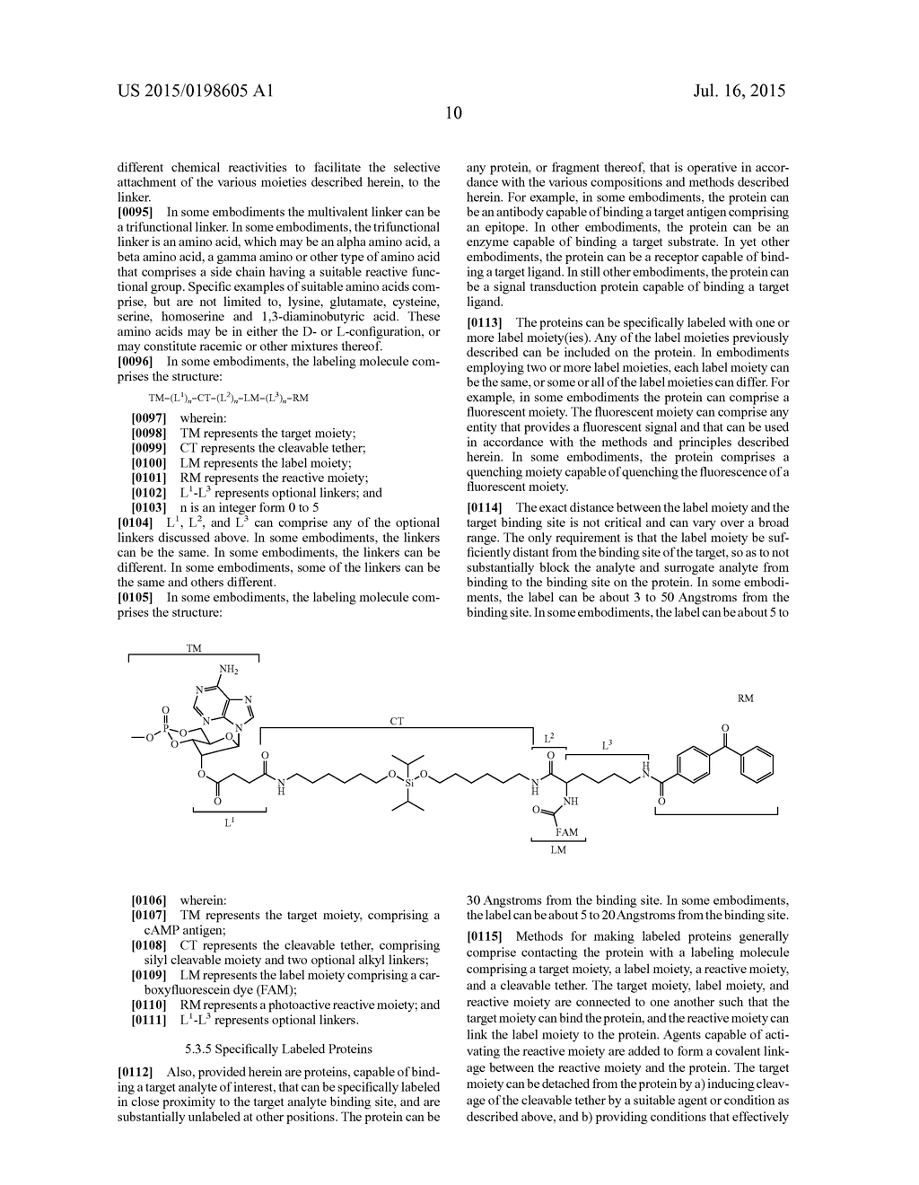 USE OF ANTIBODY-SURROGATE ANTIGEN SYSTEMS FOR DETECTION OF ANALYTES - diagram, schematic, and image 14