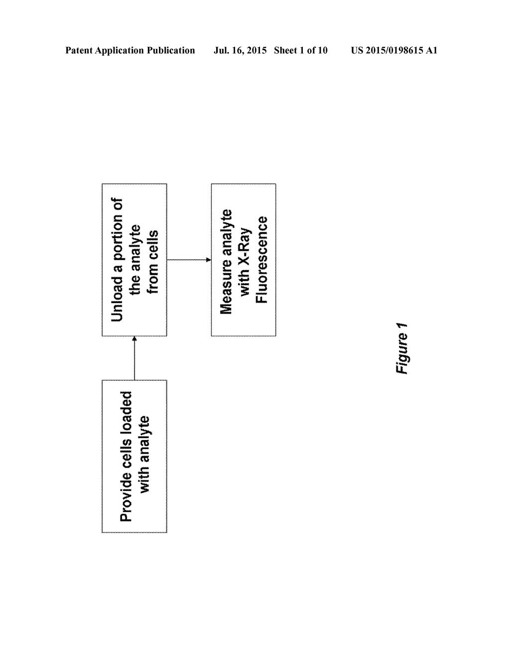 METHODS FOR MEASURING ANALYTE TRANSPORT ACROSS BARRIERS USING X-RAY     FLUORESCENCE - diagram, schematic, and image 02