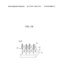 LIQUID CRYSTAL DISPLAY diagram and image