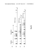 COHERENT FIELD GRADIENT MOMENTUM SPLITTING diagram and image