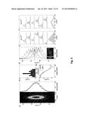 COHERENT FIELD GRADIENT MOMENTUM SPLITTING diagram and image