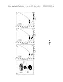 COHERENT FIELD GRADIENT MOMENTUM SPLITTING diagram and image