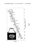 COHERENT FIELD GRADIENT MOMENTUM SPLITTING diagram and image