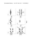 COHERENT FIELD GRADIENT MOMENTUM SPLITTING diagram and image