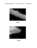 POLYOXOMETALATE AND HETEROPOLYOXOMETALATE COMPOSITIONS AND METHODS FOR     THEIR USE diagram and image