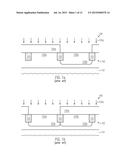 FIELD EFFECT TRANSISTORS FOR HIGH-PERFORMANCE AND LOW-POWER APPLICATIONS diagram and image