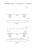 FIELD EFFECT TRANSISTORS FOR HIGH-PERFORMANCE AND LOW-POWER APPLICATIONS diagram and image