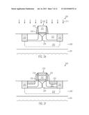 FIELD EFFECT TRANSISTORS FOR HIGH-PERFORMANCE AND LOW-POWER APPLICATIONS diagram and image