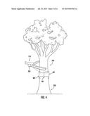 HARVESTING AND GRAFTING OF TREES diagram and image