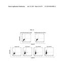 Autologous Mammalian Models Derived from Induced Pluripotent Stem Cells     and Related Methods diagram and image