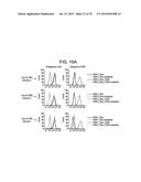 Autologous Mammalian Models Derived from Induced Pluripotent Stem Cells     and Related Methods diagram and image