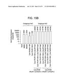 Autologous Mammalian Models Derived from Induced Pluripotent Stem Cells     and Related Methods diagram and image