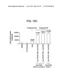 Autologous Mammalian Models Derived from Induced Pluripotent Stem Cells     and Related Methods diagram and image