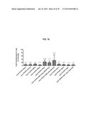 Autologous Mammalian Models Derived from Induced Pluripotent Stem Cells     and Related Methods diagram and image