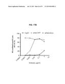 Autologous Mammalian Models Derived from Induced Pluripotent Stem Cells     and Related Methods diagram and image