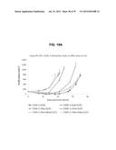 Autologous Mammalian Models Derived from Induced Pluripotent Stem Cells     and Related Methods diagram and image