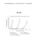 Autologous Mammalian Models Derived from Induced Pluripotent Stem Cells     and Related Methods diagram and image