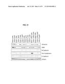 Autologous Mammalian Models Derived from Induced Pluripotent Stem Cells     and Related Methods diagram and image